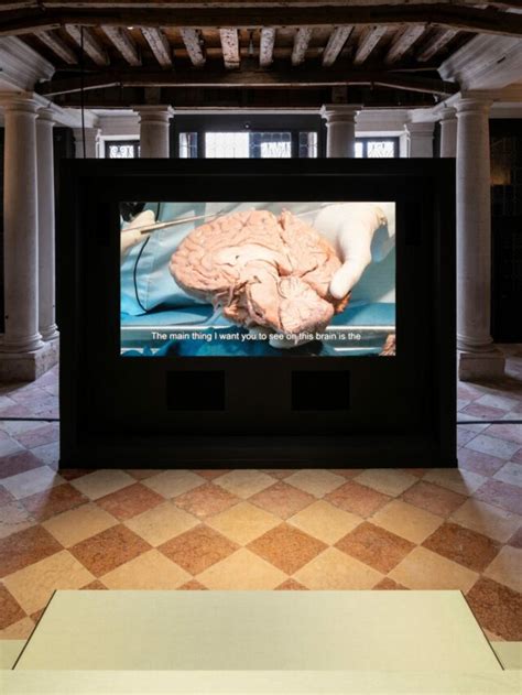 human brains fondazione prada|human brains venice.